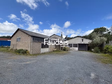 achat local commercial 450m² agneaux 50180