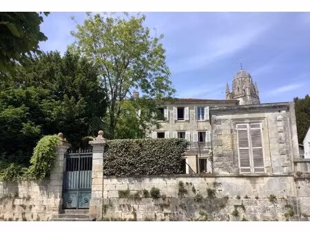 superbe maison de maitre 7 chambres avec jardin  garage et vue sur la rivière à saintes