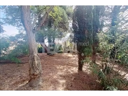 annonce terrain à vendre