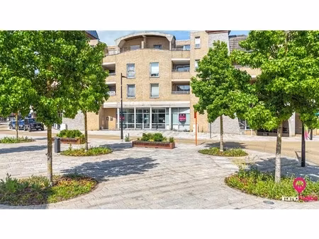 commercieel te koop in beringen