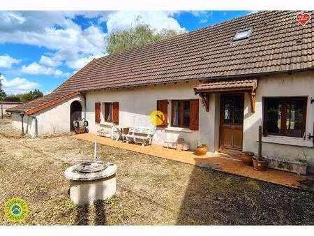 vente maison 7 pièces 120 m² sancoins (18600)