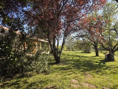 maison avec grand jardin