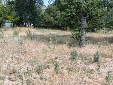 vente terrain à saint-jean-de-monts périphérie (85160) : à vendre / 641m² saint-jean-de-mo