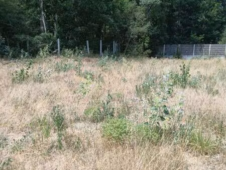 vente terrain à saint-jean-de-monts périphérie (85160) : à vendre / 913m² saint-jean-de-mo