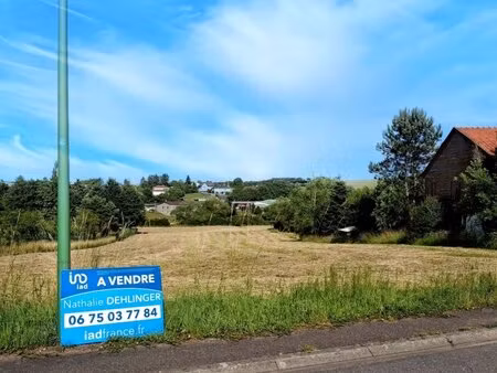 en vente terrain non constructible 3 799 m² – 82 000 € |chémery-les-deux