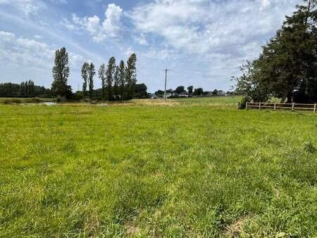 vente terrain à guignen (35580) : à vendre / guignen