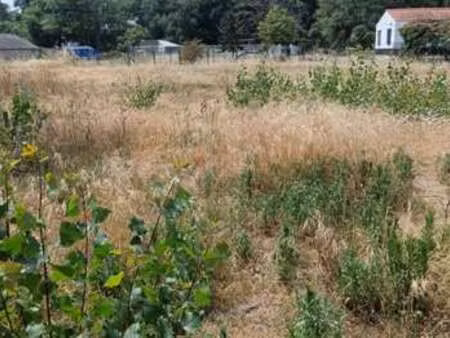 vente terrain à saint-jean-de-monts périphérie (85160) : à vendre / 484m² saint-jean-de-mo