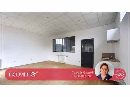 vente maison 7 pièces 372 m² nort-sur-erdre (44390)
