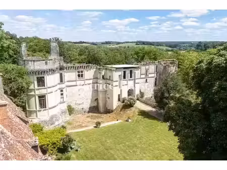 vente maison 5 pièces 566 m² à valençay (36600)  480 000 €