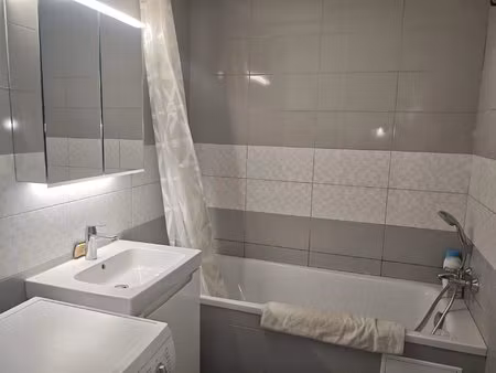 appartement lumineux 3 pièces à joué-lès-tours