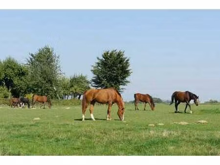 propriété sur ± 4ha 20a