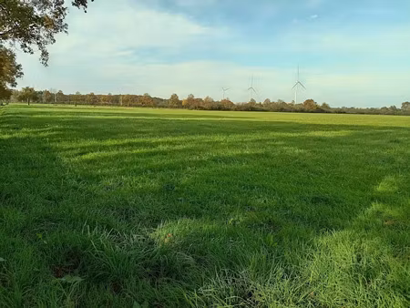 vente ferme 5 pièces 111 m² à riaillé (44440)  635 000 €