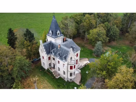 vente propriété 13 pièces 432 m² à marcigny (71110)  499 000 €