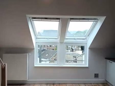 magnifique appart lumineux 2 ch avec mezzanine rue calme