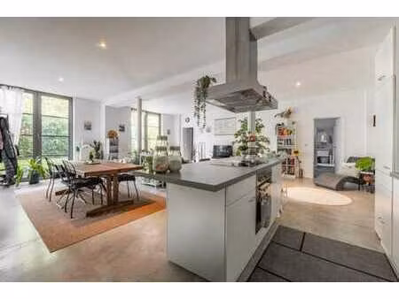 quartier edith cavell - superbe appartement avec jardin