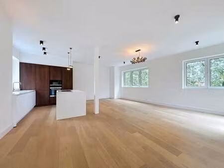 penthouse duplex 3 chambres avec terrasses