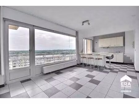 appartement - 1 chambre - terrasse