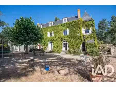 vente maison 13 pièces 314 m² à cantenay-epinard (49460)  1 030 000 €