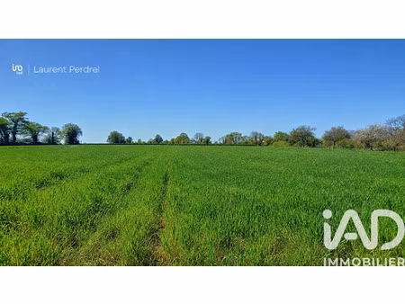 vente terrain à allaire (56350) : à vendre / 1687m² allaire