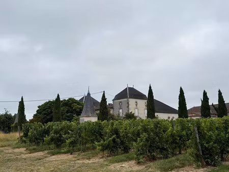 vente maison 12 pièces 550 m² à massugas (33790)  1 150 000 €
