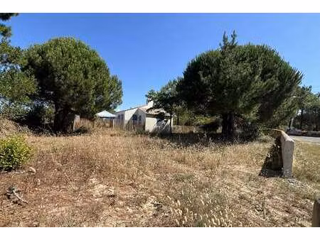 vente terrain à saint-hilaire-de-riez (85270) : à vendre / 386m² saint-hilaire-de-riez