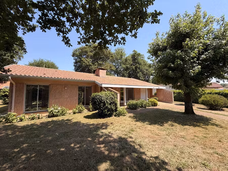 a louer  à saugnac et cambran  maison avec joli jardin