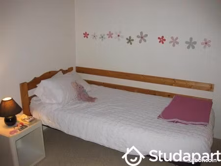 maison 1 pièce 20 m²