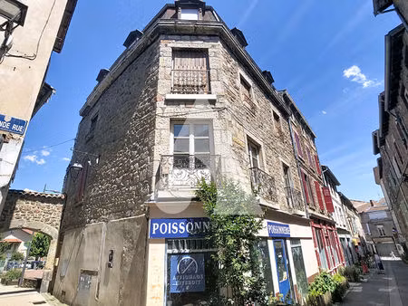 immeuble saint symphorien sur coise 4 pièce(s) 225 m²