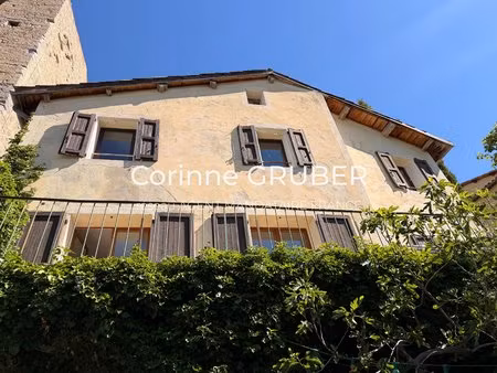exclusivité - maison de village  2 appartements avec terrasse et jardin