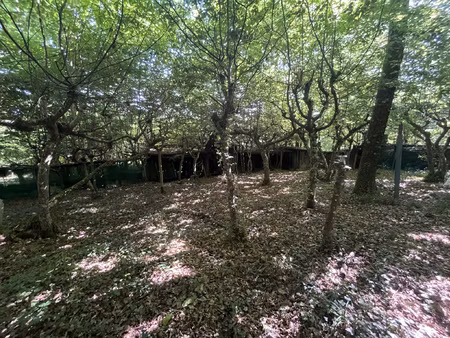 palombière sur 4ha 69a 90ca