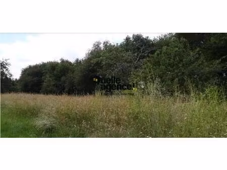 terrain constructible - guipavas