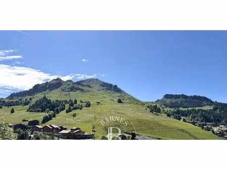 appartement avec terrasse le grand-bornand (74)