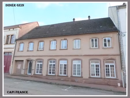 vente immeuble 507 m² bitche (57230)