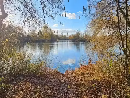 vente terrain 62 242 m²