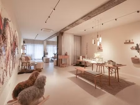 bien professionnel à vendre à oostduinkerke € 437.000 (lpeo1) - immo plaza | zimmo