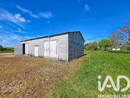 vente commerce 110 m² bonny-sur-loire (45420)