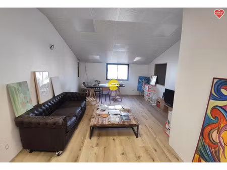 vente maison 5 pièces 500 m² nevers (58000)