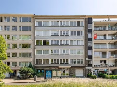 bien professionnel à vendre à berchem € 265.000 (lpehd) - van d'helsen vastgoed | zimmo
