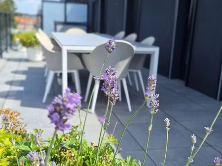 appartement à vendre à merchtem € 453.000 (lpbsr) - | zimmo