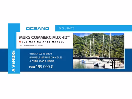 vente commerce 42 m² saint-martin (65360)