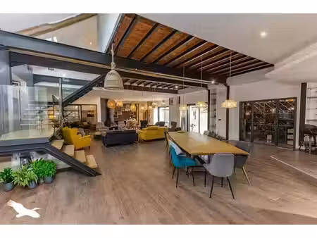 vente maison 9 pièces 393 m² trébons (65200)