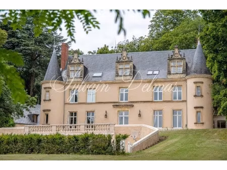 château à vendre à langeais