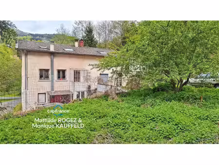 immeuble à vendre saint martin des olmes (63) 4 appartements avec 1 2 hectare de terrain