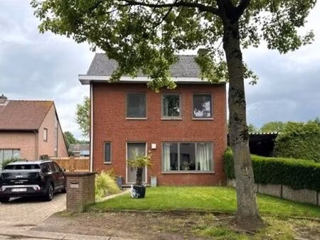maison à louer à oostmalle € 1.350 (lpcp9) - heylen vastgoed - oostmalle | zimmo