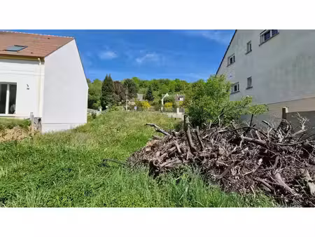 terrain