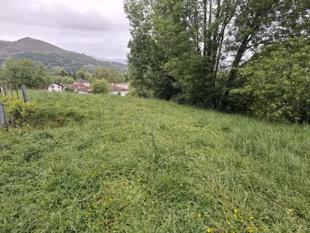 vente terrain 1165 m² saint-jean-le-vieux (64220)