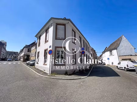 vente immeuble 225 m² haguenau (67500)