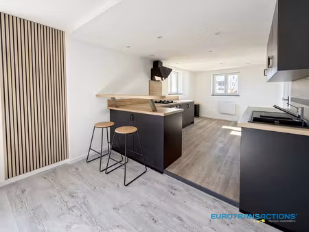 vente appartement 3 pièces 64 m² mertzwiller (67580)