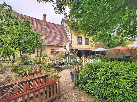 vente maison 15 pièces 378 m² bischwiller (67240)