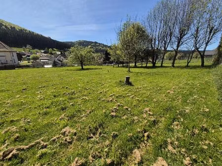 vente terrain 799 m² colroy-la-roche (67420)